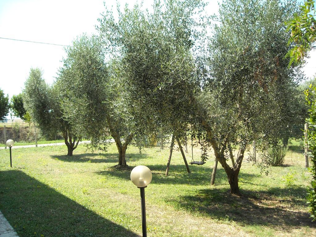 La Palma Villa Magliano in Toscana Exteriör bild